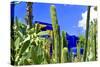 Jardin Majorelle - Marrakech - Morocco - North Africa - Africa-Philippe Hugonnard-Stretched Canvas