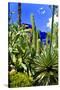 Jardin Majorelle - Marrakech - Morocco - North Africa - Africa-Philippe Hugonnard-Stretched Canvas