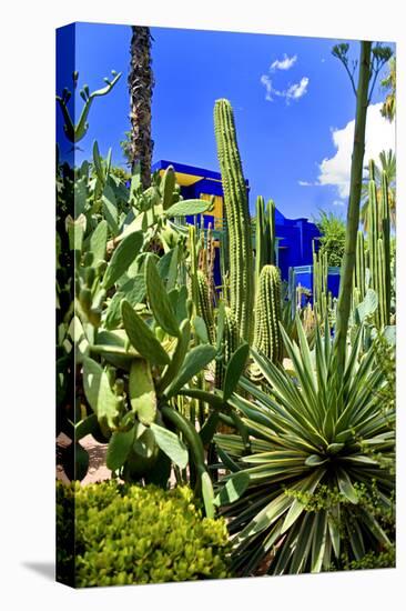 Jardin Majorelle - Marrakech - Morocco - North Africa - Africa-Philippe Hugonnard-Stretched Canvas