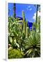 Jardin Majorelle - Marrakech - Morocco - North Africa - Africa-Philippe Hugonnard-Framed Photographic Print