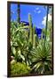 Jardin Majorelle - Marrakech - Morocco - North Africa - Africa-Philippe Hugonnard-Framed Photographic Print