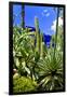 Jardin Majorelle - Marrakech - Morocco - North Africa - Africa-Philippe Hugonnard-Framed Photographic Print