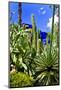 Jardin Majorelle - Marrakech - Morocco - North Africa - Africa-Philippe Hugonnard-Mounted Photographic Print