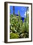 Jardin Majorelle - Marrakech - Morocco - North Africa - Africa-Philippe Hugonnard-Framed Photographic Print