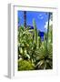 Jardin Majorelle - Marrakech - Morocco - North Africa - Africa-Philippe Hugonnard-Framed Photographic Print