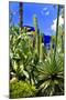 Jardin Majorelle - Marrakech - Morocco - North Africa - Africa-Philippe Hugonnard-Mounted Photographic Print