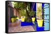 Jardin Majorelle - Marrakech - Morocco - North Africa - Africa-Philippe Hugonnard-Framed Stretched Canvas