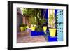 Jardin Majorelle - Marrakech - Morocco - North Africa - Africa-Philippe Hugonnard-Framed Photographic Print