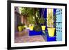 Jardin Majorelle - Marrakech - Morocco - North Africa - Africa-Philippe Hugonnard-Framed Photographic Print