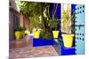 Jardin Majorelle - Marrakech - Morocco - North Africa - Africa-Philippe Hugonnard-Mounted Photographic Print