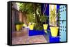 Jardin Majorelle - Marrakech - Morocco - North Africa - Africa-Philippe Hugonnard-Framed Stretched Canvas