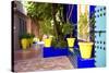 Jardin Majorelle - Marrakech - Morocco - North Africa - Africa-Philippe Hugonnard-Stretched Canvas