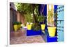 Jardin Majorelle - Marrakech - Morocco - North Africa - Africa-Philippe Hugonnard-Framed Photographic Print