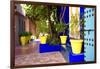 Jardin Majorelle - Marrakech - Morocco - North Africa - Africa-Philippe Hugonnard-Framed Photographic Print