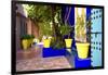 Jardin Majorelle - Marrakech - Morocco - North Africa - Africa-Philippe Hugonnard-Framed Photographic Print