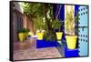 Jardin Majorelle - Marrakech - Morocco - North Africa - Africa-Philippe Hugonnard-Framed Stretched Canvas