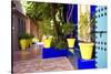 Jardin Majorelle - Marrakech - Morocco - North Africa - Africa-Philippe Hugonnard-Stretched Canvas