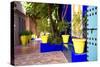 Jardin Majorelle - Marrakech - Morocco - North Africa - Africa-Philippe Hugonnard-Stretched Canvas