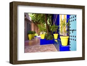 Jardin Majorelle - Marrakech - Morocco - North Africa - Africa-Philippe Hugonnard-Framed Photographic Print