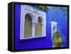 Jardin Majorelle, Marrakech, Morocco-Bruno Morandi-Framed Stretched Canvas