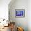 Jardin Majorelle, Marrakech, Morocco-Bruno Morandi-Framed Photographic Print displayed on a wall