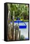 Jardin Majorelle, Marrakech, Morocco-Nico Tondini-Framed Stretched Canvas