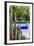 Jardin Majorelle, Marrakech, Morocco-Nico Tondini-Framed Photographic Print