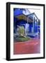 Jardin Majorelle, Owned by Yves St. Laurent, Marrakech, Morocco, North Africa, Africa-Stephen Studd-Framed Photographic Print