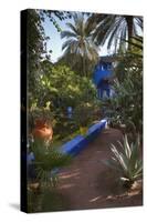 Jardin Majorelle, Owned by Yves St. Laurent, Marrakech, Morocco, North Africa, Africa-Stephen Studd-Stretched Canvas