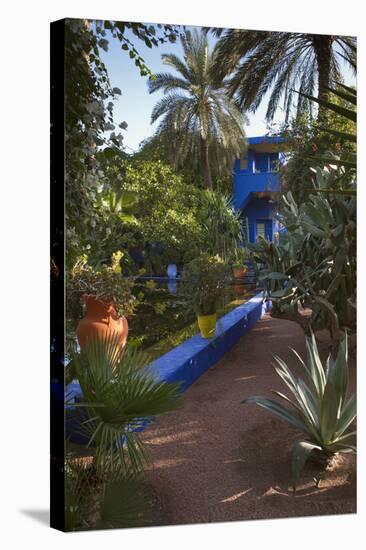 Jardin Majorelle, Owned by Yves St. Laurent, Marrakech, Morocco, North Africa, Africa-Stephen Studd-Stretched Canvas