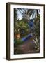 Jardin Majorelle, Owned by Yves St. Laurent, Marrakech, Morocco, North Africa, Africa-Stephen Studd-Framed Photographic Print