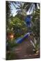 Jardin Majorelle, Owned by Yves St. Laurent, Marrakech, Morocco, North Africa, Africa-Stephen Studd-Mounted Photographic Print