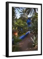 Jardin Majorelle, Owned by Yves St. Laurent, Marrakech, Morocco, North Africa, Africa-Stephen Studd-Framed Photographic Print