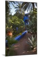 Jardin Majorelle, Owned by Yves St. Laurent, Marrakech, Morocco, North Africa, Africa-Stephen Studd-Mounted Photographic Print