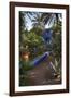 Jardin Majorelle, Owned by Yves St. Laurent, Marrakech, Morocco, North Africa, Africa-Stephen Studd-Framed Photographic Print