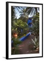 Jardin Majorelle, Owned by Yves St. Laurent, Marrakech, Morocco, North Africa, Africa-Stephen Studd-Framed Photographic Print