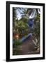 Jardin Majorelle, Owned by Yves St. Laurent, Marrakech, Morocco, North Africa, Africa-Stephen Studd-Framed Photographic Print