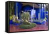 Jardin Majorelle, Owned by Yves St. Laurent, Marrakech, Morocco, North Africa, Africa-Stephen Studd-Framed Stretched Canvas