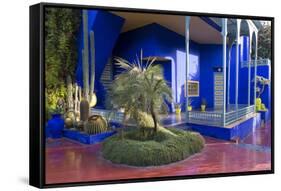 Jardin Majorelle, Owned by Yves St. Laurent, Marrakech, Morocco, North Africa, Africa-Stephen Studd-Framed Stretched Canvas