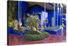 Jardin Majorelle, Owned by Yves St. Laurent, Marrakech, Morocco, North Africa, Africa-Stephen Studd-Stretched Canvas