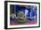 Jardin Majorelle, Owned by Yves St. Laurent, Marrakech, Morocco, North Africa, Africa-Stephen Studd-Framed Photographic Print