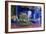 Jardin Majorelle, Owned by Yves St. Laurent, Marrakech, Morocco, North Africa, Africa-Stephen Studd-Framed Photographic Print