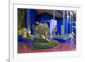 Jardin Majorelle, Owned by Yves St. Laurent, Marrakech, Morocco, North Africa, Africa-Stephen Studd-Framed Photographic Print