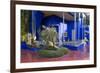 Jardin Majorelle, Owned by Yves St. Laurent, Marrakech, Morocco, North Africa, Africa-Stephen Studd-Framed Photographic Print