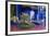 Jardin Majorelle, Owned by Yves St. Laurent, Marrakech, Morocco, North Africa, Africa-Stephen Studd-Framed Photographic Print