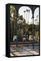 Jardin Majorelle, Owned by Yves St. Laurent, Marrakech, Morocco, North Africa, Africa-Stephen Studd-Framed Stretched Canvas