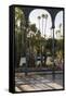 Jardin Majorelle, Owned by Yves St. Laurent, Marrakech, Morocco, North Africa, Africa-Stephen Studd-Framed Stretched Canvas