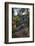 Jardin Majorelle, Owned by Yves St. Laurent, Marrakech, Morocco, North Africa, Africa-Stephen Studd-Framed Photographic Print