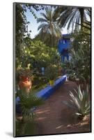 Jardin Majorelle, Owned by Yves St. Laurent, Marrakech, Morocco, North Africa, Africa-Stephen Studd-Mounted Photographic Print