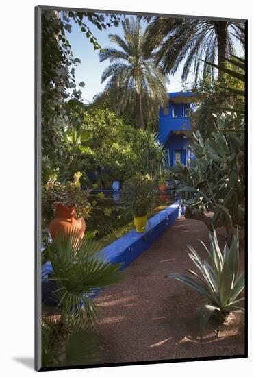 Jardin Majorelle, Owned by Yves St. Laurent, Marrakech, Morocco, North Africa, Africa-Stephen Studd-Mounted Photographic Print